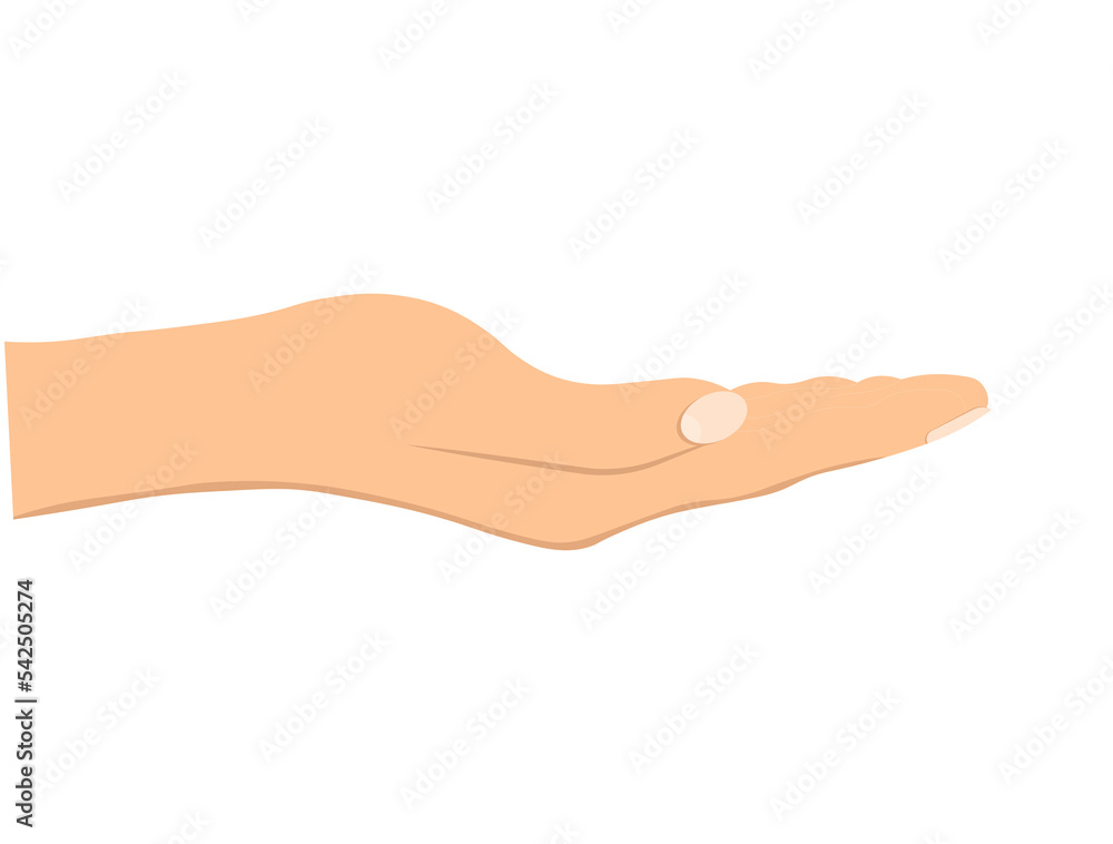 Facing up womans hand isolated on white background Facing up womans hand isolated on white background