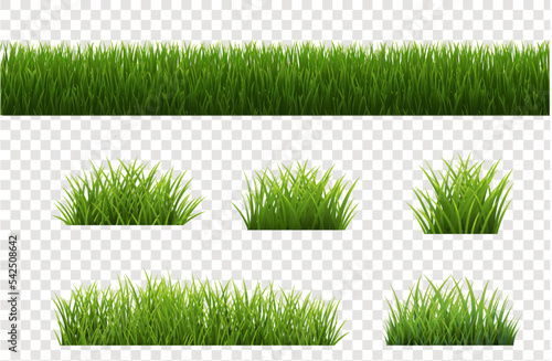 Big Set Grass Panorama Transparent Background
