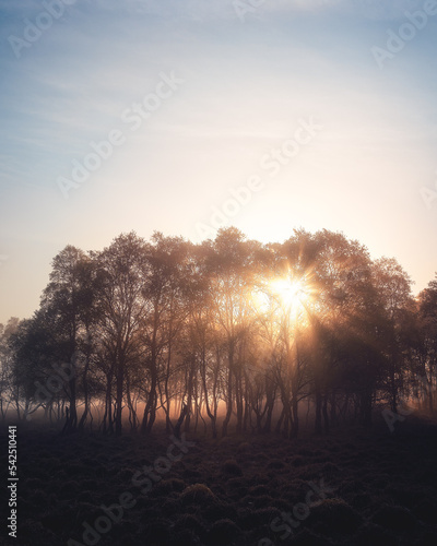 Sunrise, Peak District, England photo