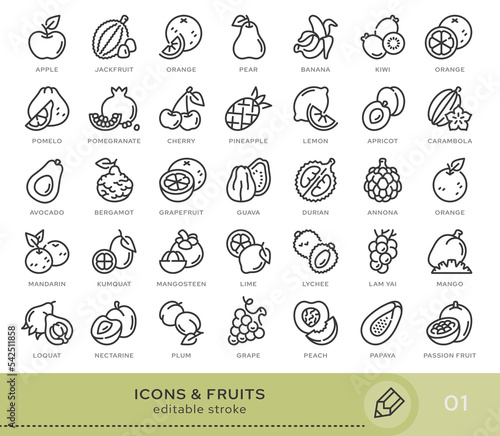 Set of conceptual icons. Vector icons in flat linear style for web sites, applications and other graphic resources. Set from the series - Fruits. Editable stroke icon.