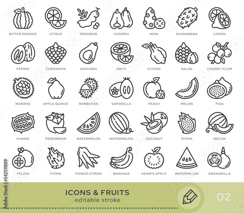Set of conceptual icons. Vector icons in flat linear style for web sites, applications and other graphic resources. Set from the series - Fruits. Editable stroke icon.