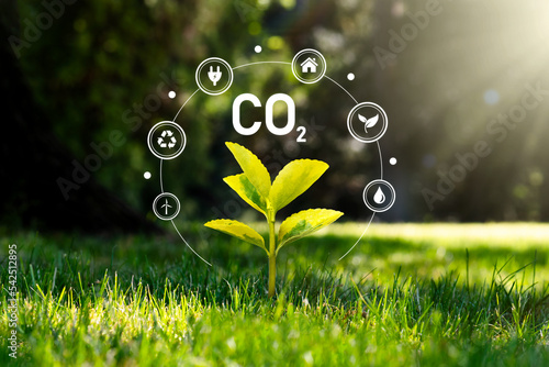 Carbon dioxide emissions, carbon footprint concept photo