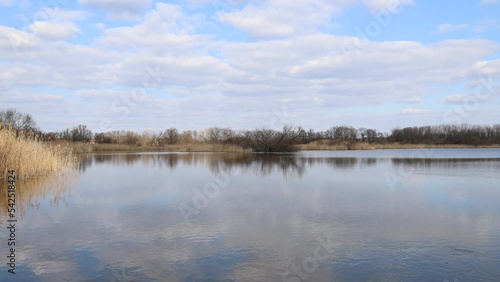 Time-lapse of beautiful landscape at Pond Overgrown in Czech Republic. Swans float on the water, white clouds flow in the blue sky, light and shadow alternate.