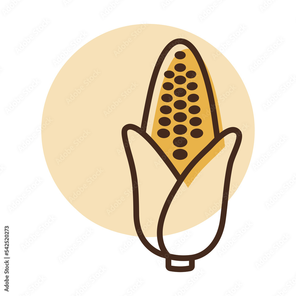 Corncob isolated vector icon. Vegetable sign Corncob isolated vector icon. Vegetable sign