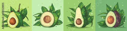 Different types of avocado. Vector illustration. Banner for advertising and selling fruits on the site or in the store. Whole avocado with leaves and cut in half. Healthy food poster concept.