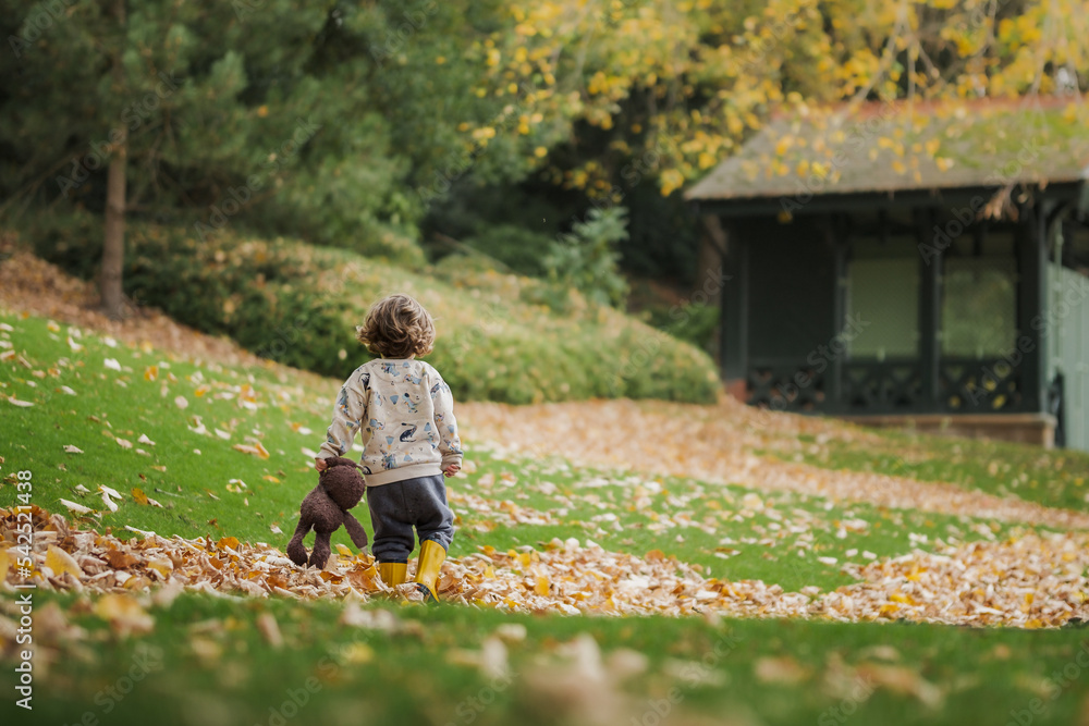 little child playing in the autumn park with his teddy little child playing in the autumn park with his teddy
