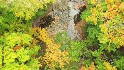 Toronto Forest Trees Changing Colors During Autumn Fall 4K Drone Footage