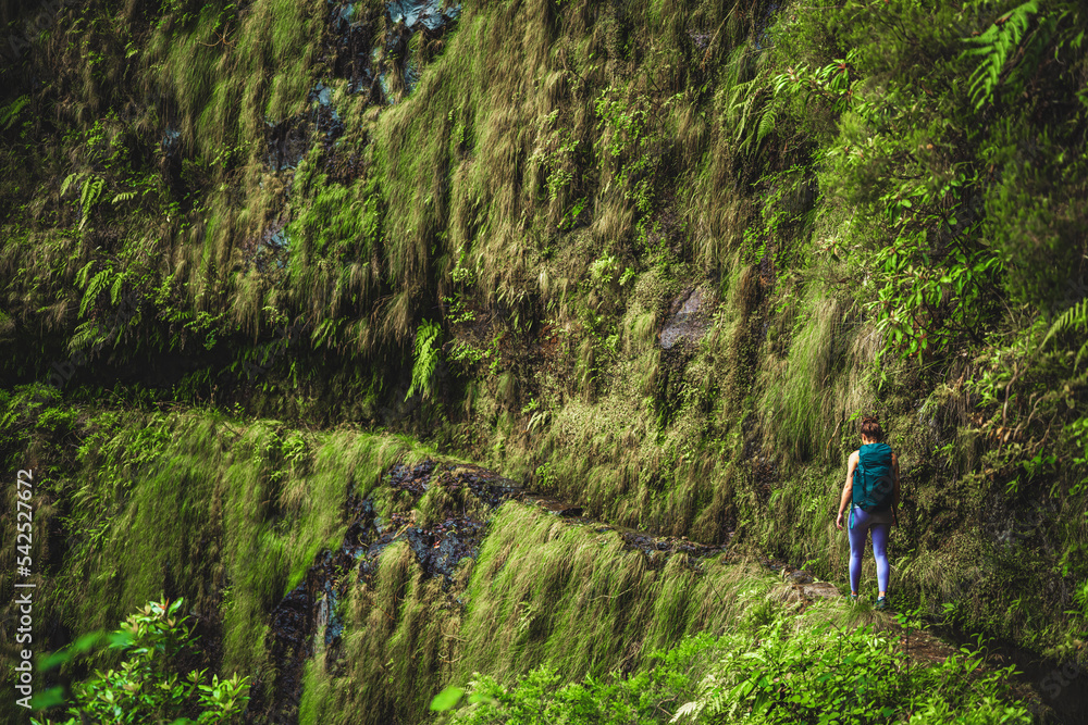 Athletic woman walks through adventurous jungle path along green overgrown canal. Levada of Caldeirão Verde, Madeira Island, Portugal, Europe. Athletic woman walks through adventurous jungle path along green overgrown canal. Levada of Caldeirão Verde, Madeira Island, Portugal, Europe.