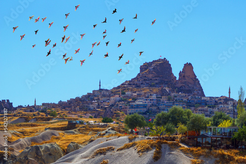 Uçhisar, Uçhisar castle and pigeons