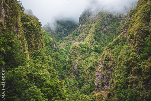 View on steep and adventurous jungle terrain from green overgrown canal trail. Levada of Caldeirão Verde, Madeira Island, Portugal, Europe.