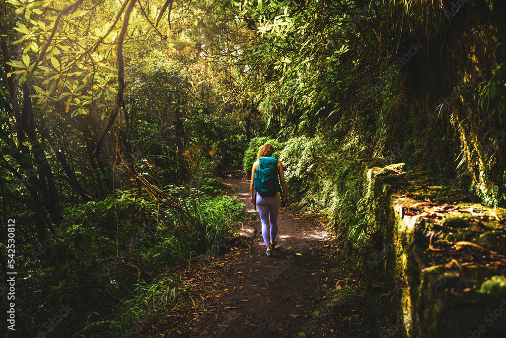 Beautiful woman walks at adventurous jungle path along water canal. Levada of Caldeirão Verde, Madeira Island, Portugal, Europe. Beautiful woman walks at adventurous jungle path along water canal. Levada of Caldeirão Verde, Madeira Island, Portugal, Europe.