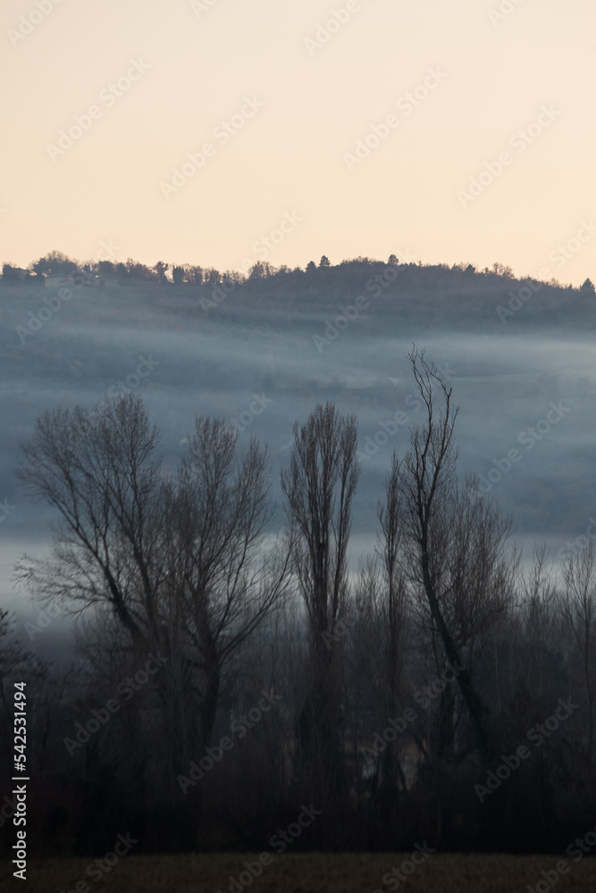 Mist and fog between valley and layers of mountains and hills with bare trees in the foreground Mist and fog between valley and layers of mountains and hills with bare trees in the foreground