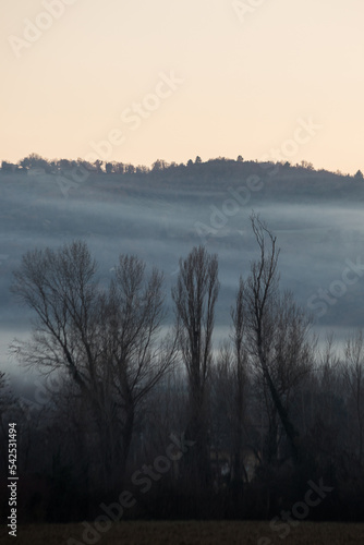 Mist and fog between valley and layers of mountains and hills with bare trees in the foreground