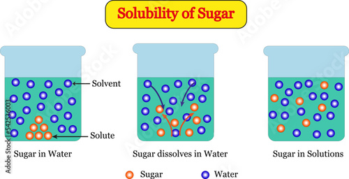 Chemical illustration. The solubility of sugar and water. Sugar is the solute and water is the solvent which appears in three states of dissolution. Diluting solution. Chemistry education vector image