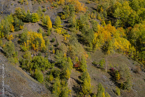 Amazing autumn fall colors as seen above Lac du Chambon resrvoir, near Mizoen village in Isere, Rhyone-Alpes, France photo