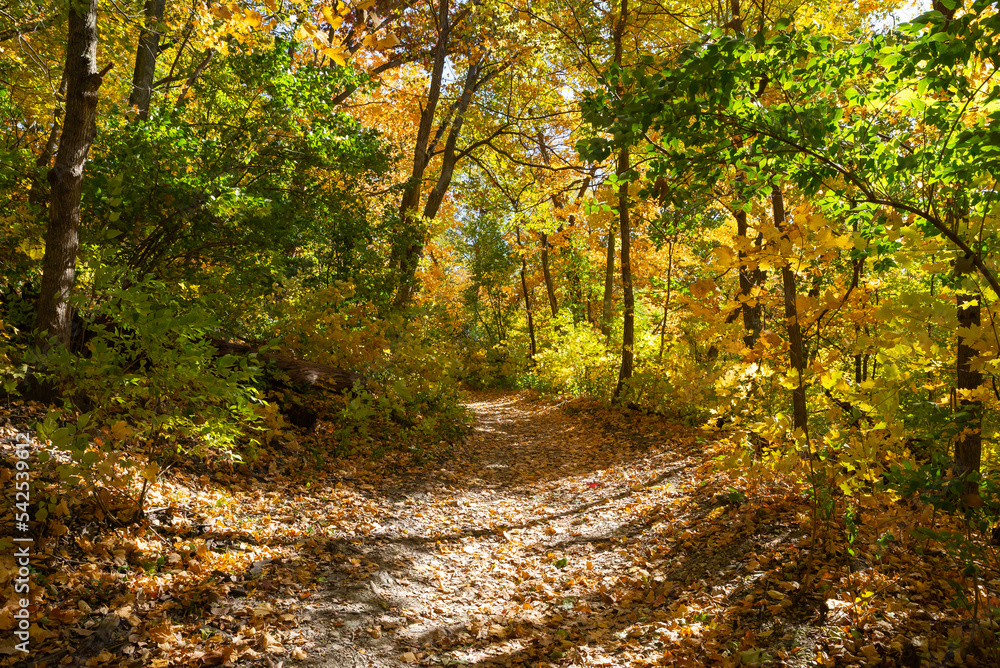 Hiking trail through Fall landscape.