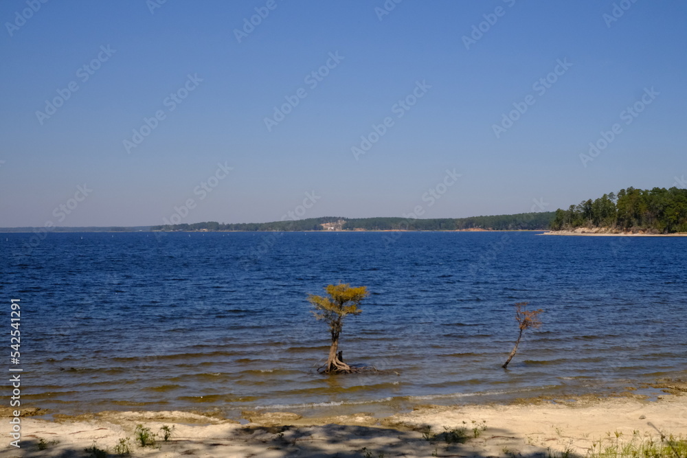 View of Toledo Bend Reservoir from South Toledo Bend State Park in Louisiana