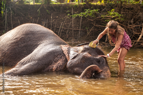 Happy young woman tourist un summer clothe washing elephant in countryside river Sri Lanka, swimming him. Cute lady tourist journey in jungle river, backdrop. Travel vacation concept. Copy text space