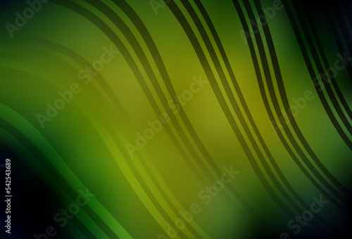 Dark Green  Yellow vector layout with curved lines.