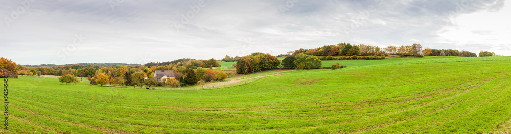 Farm land in the middle of green field. Panoramic rural autumn scenery in North Rhine Westphalia in Germany.