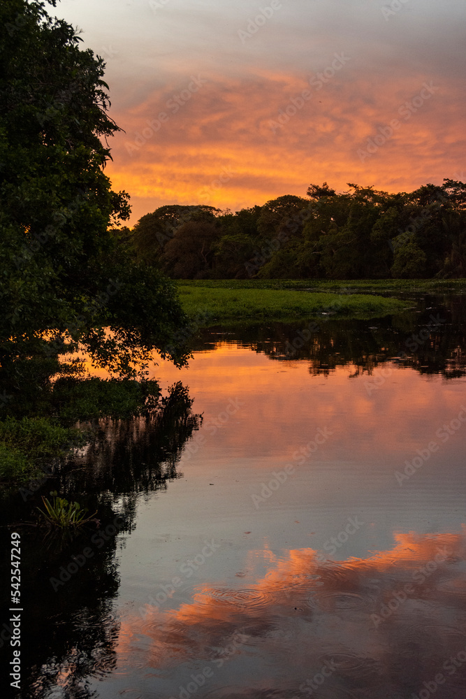 Obraz premium Beautiful view to orange sunset clouds over lake