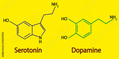 chemical structure of serotonin and dopamine