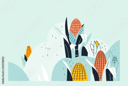 Corn Field