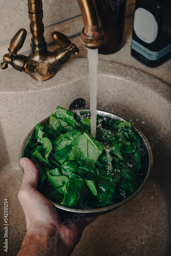 Hand Washing Fresh Spinach over Sink in Kitchen
