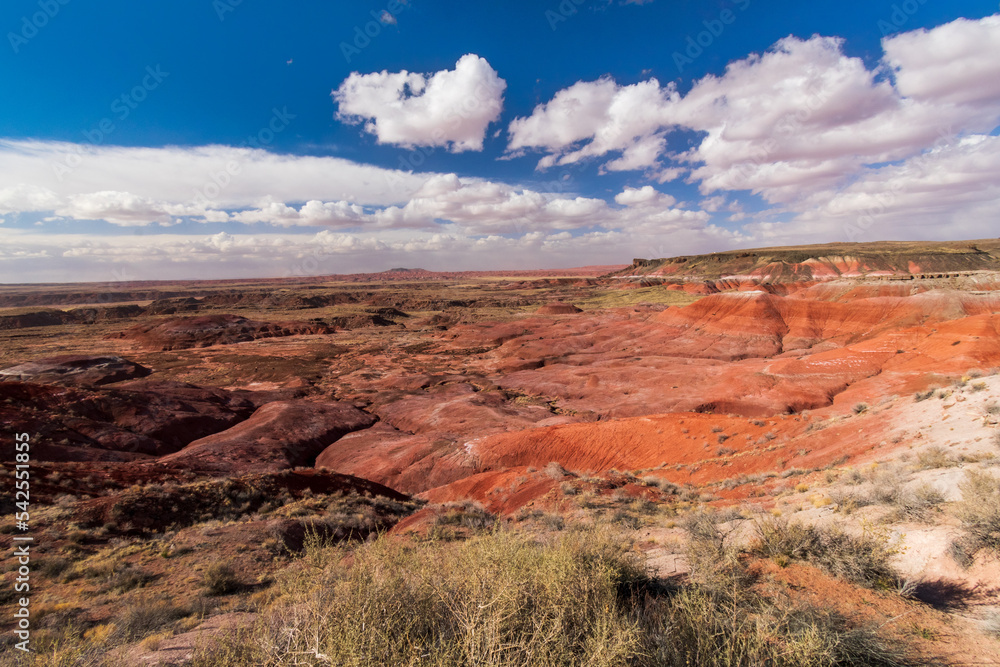 Beautiful Petrified Forest National Park Landscape in March Beautiful Petrified Forest National Park Landscape in March