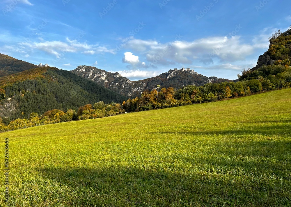 meadow and Sulovske Skaly