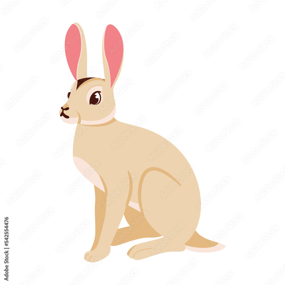 Fototapeta premium Isolated rabbit character chinese zodiac symbol Vector