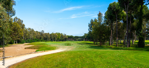 Road for golf cars along the sand bunker on the golf course, smooth green grass on a sunny day and pine trees