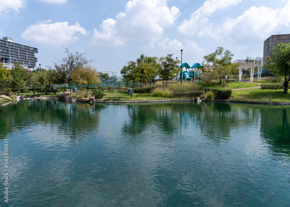 Lake with fish in the middle of a park in Puebla. Trees, grass and a blue sky. Cascatta Park