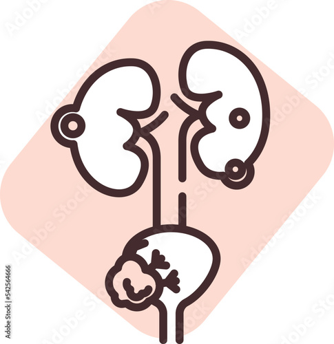 Medical prostate, icon, vector on white background.