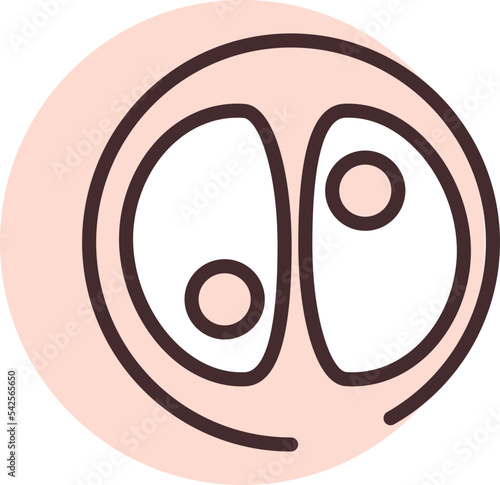Health zigot, icon, vector on white background.