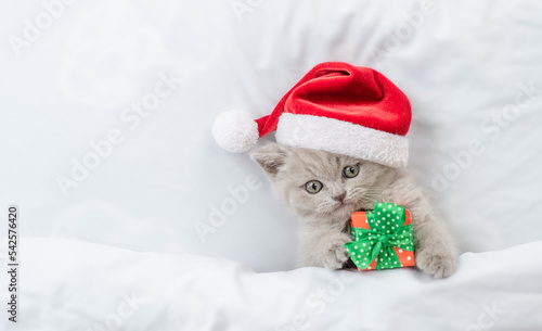 Playful kitten wearing red santa's hat hugs gift box under white warm blanket. Top down view. Empty space for text