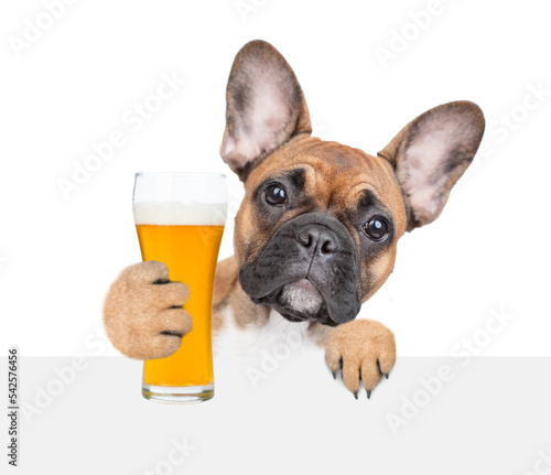 Smiling puppy with light beer peeking above white banner. isolated on white background © Ermolaev Alexandr