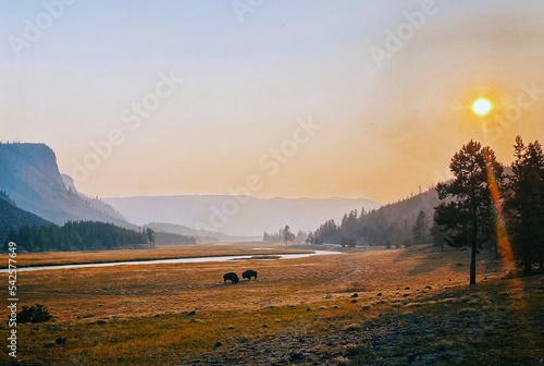 Φωτογραφία Home on the Range