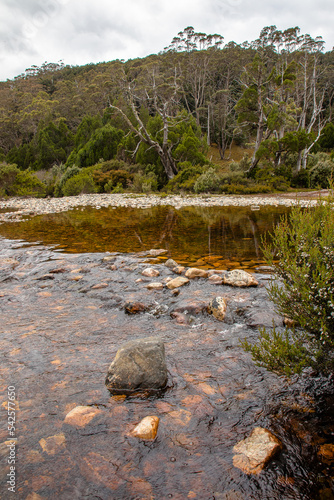 Creek at the Ronny Creek carpark photo