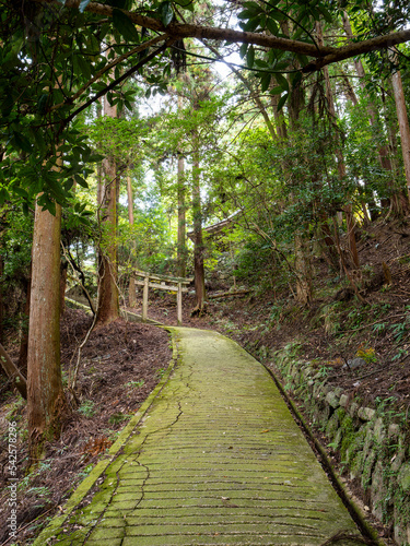 飛鳥川上坐宇須多岐比売命神社の参道と鳥居 photo