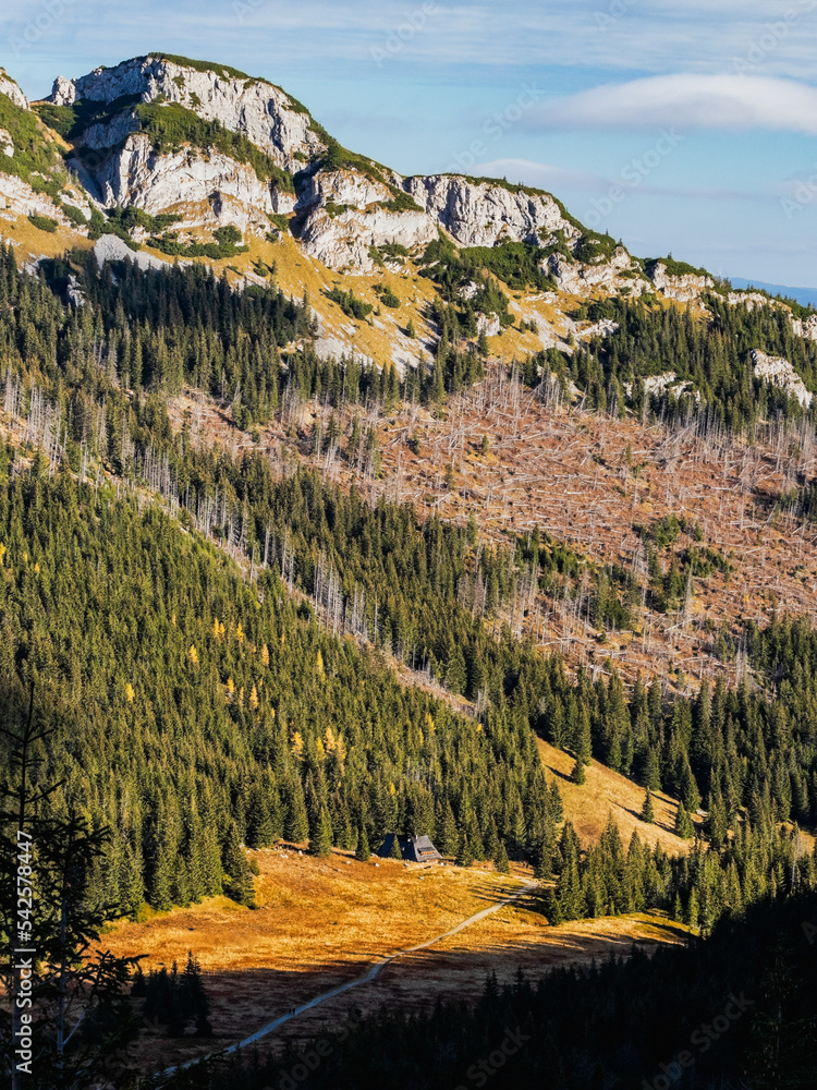 Tatry krajobraz górski jesień