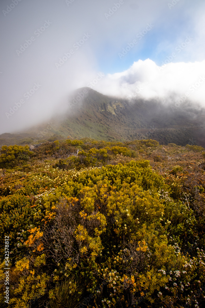 Fototapeta premium fog over the mountains