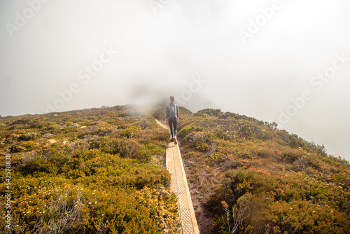 path in the fog photo