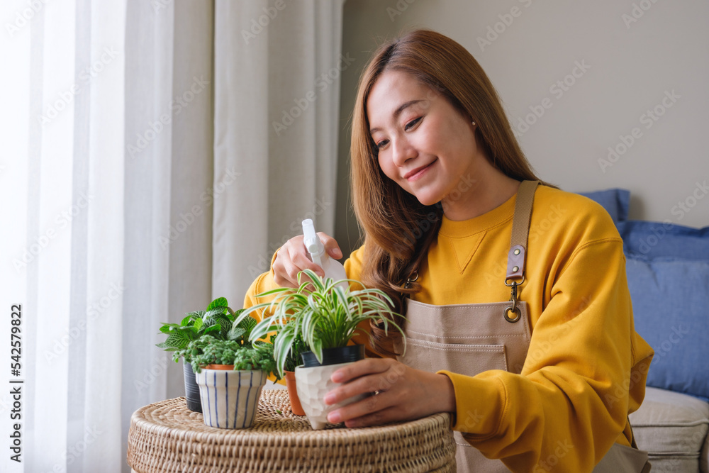 Portrait image of a beautiful young woman taking care and watering houseplants with plant mister spray at home Portrait image of a beautiful young woman taking care and watering houseplants with plant mister spray at home