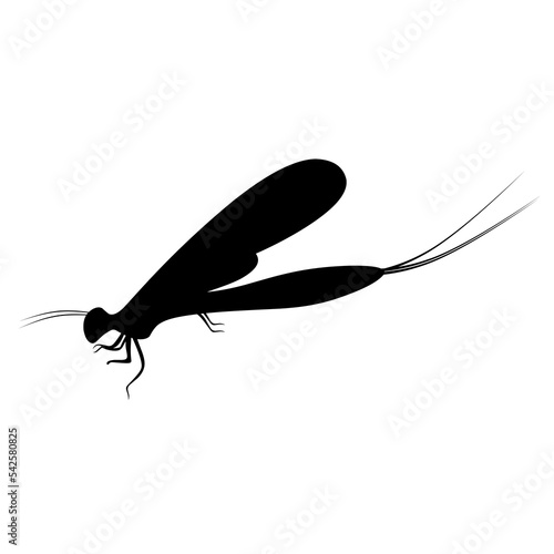 Silhouette of a mayfly or Ephemeroptera. These flies are often found on the surface of the water. Perfect for flying animal logos