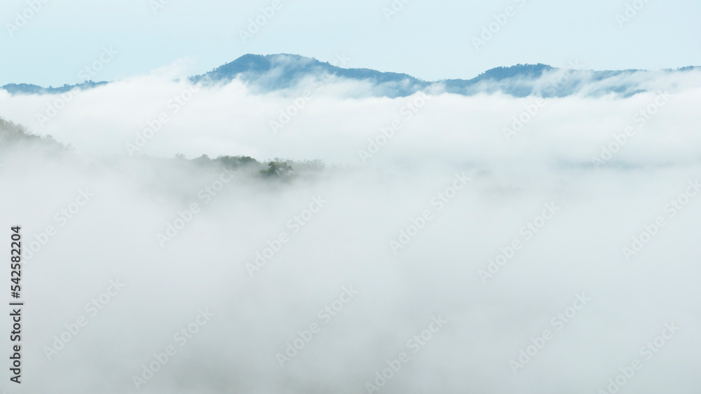 Morning mist cover tree and mountain