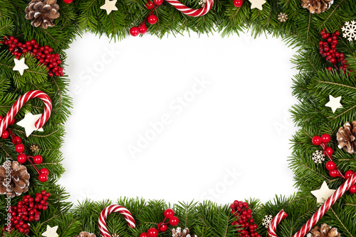 Christmas frame of tree branches