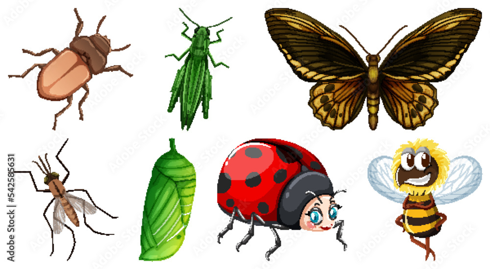 Set of different kinds of insects Set of different kinds of insects