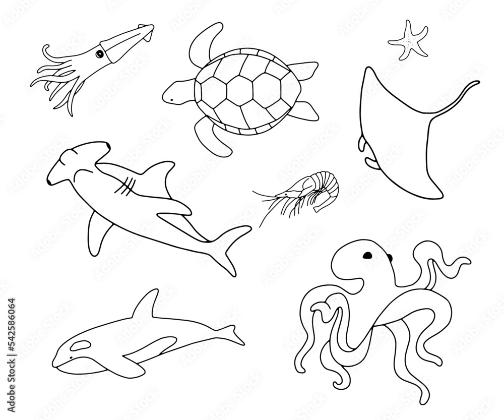 Vector swimming turtle, squid, stingray and shark isolated on white background. Hand drawn outline doodle illustration ocean or underwater animal for coloring page Vector swimming turtle, squid, stingray and shark isolated on white background. Hand drawn outline doodle illustration ocean or underwater animal for coloring page
