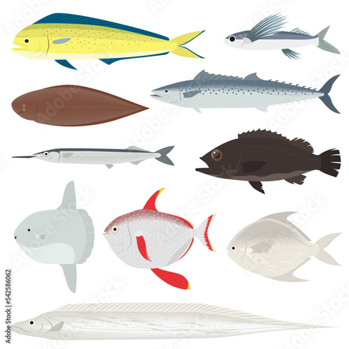 魚のイラストセット